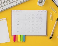 Confira a data para restituição do IR 2024 - ATTIVA Consultoria